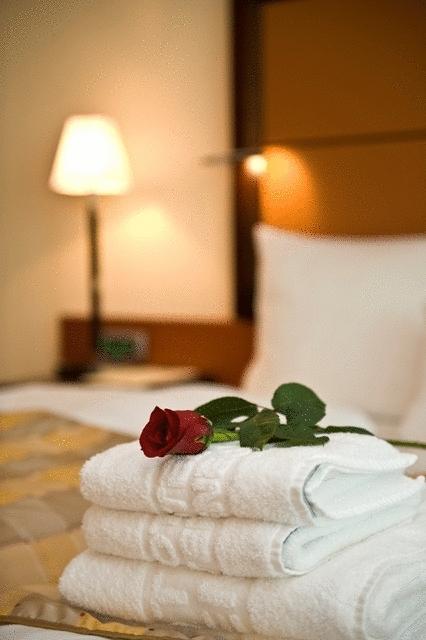 Aparthotel Premier Podgorica Room photo